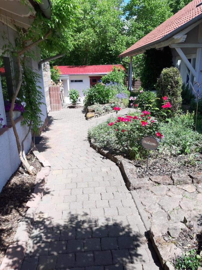 Ferienwohnung Im Schoenen Zellertal Wachenheim an der Weinstraße Extérieur photo